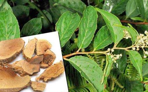 男人要養腎 少做這9件事