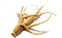 冬季巧吃人參調理身體