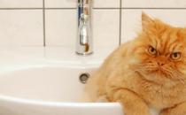 強迫性神經(jīng)癥有哪些癥狀