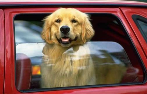 坐車總是暈車該怎么辦