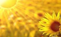 ?心思敏感的人該如何克服自己的心態(tài)