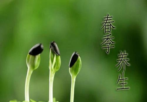 一年之計在于春，不得不知的春季養生常識