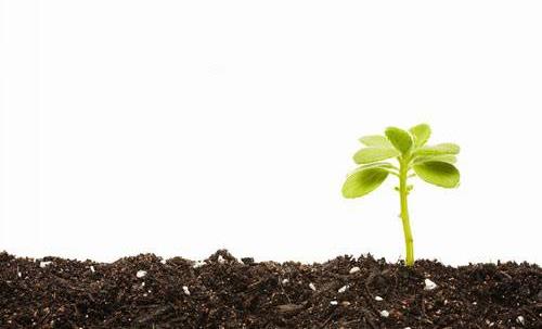 一年之計在于春，不得不知的春季養生常識