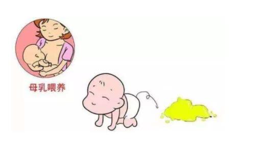 新生兒拉肚子怎么辦什么原因導致