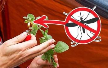 這12個野外急救措施 關鍵時刻真能救命