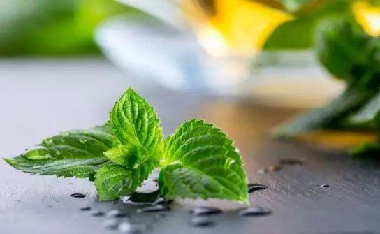 國(guó)外護(hù)理人員提供的生活妙招 薄荷味可以除臭