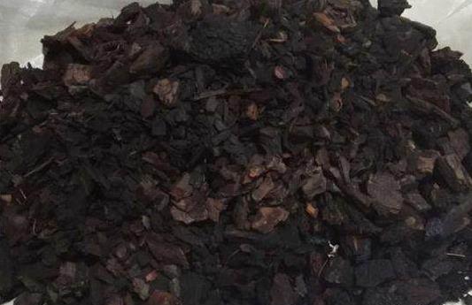 養花方法技巧大全 家庭養花的水肥光土四大要點總結