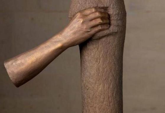 世界上最孤獨的手 握了半個世紀樹干 游客卻說太殘忍