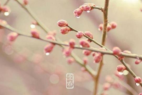 2019年立春是農歷幾月幾日 2019年立春時間