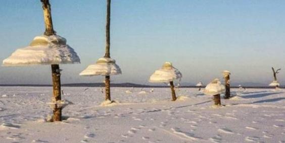 俄羅斯干干凈凈的水庫 一夜之間突然出現“冰蘑菇”