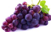 孕婦吃的營養 孕早期水果食譜推薦