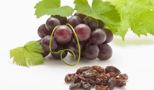 孕期干果補(bǔ)充 5種干果孕媽不宜吃