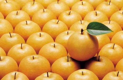 春季養肺有妙招 潤肺養肺食物大盤點