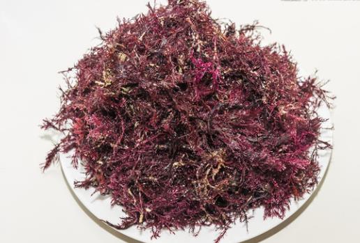 春季什么水果養胃 選擇這四種讓腸胃安心