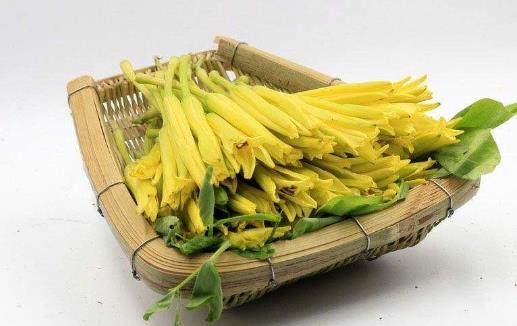 食以載道的黃花菜，安神除煩護膚美顏