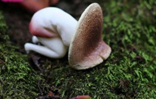 大冷天遇上姨媽痛 試試這個幫你和痛經saygoodbye