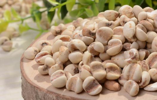 薏米吃對了除濕益氣,試試這幾個薏米的食療方