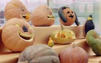 南瓜的營養價值 糖尿病人吃南瓜時你要注意這些