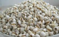 薏米吃對了除濕益氣 試試這幾個薏米的食療方
