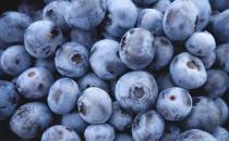 想要美容養(yǎng)顏改善睡眠 選擇以下藍(lán)莓食譜就對了