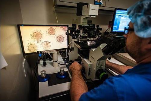 不放棄當媽媽的權利 解放女性新技術冷凍卵子