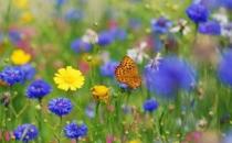 春季臉部皮膚過敏 應對過敏最有效的方法