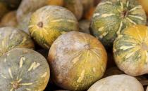 南瓜耐久營養價值高 制作不同料理南瓜的選擇也有差異