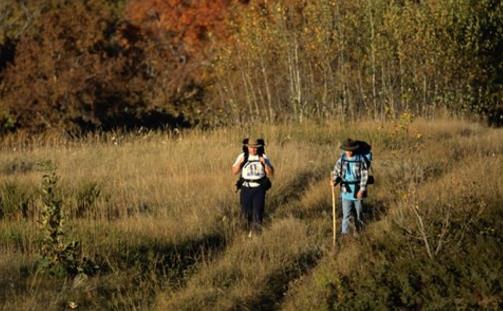 這12個(gè)野外急救措施,關(guān)鍵時(shí)刻能救命!