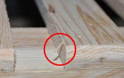 生活中常見錯誤的應(yīng)急措施 看看你也都搞錯了