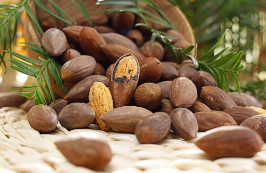 被饅頭噎住千萬誤喂水 救治的黃金時間須做心肺復蘇