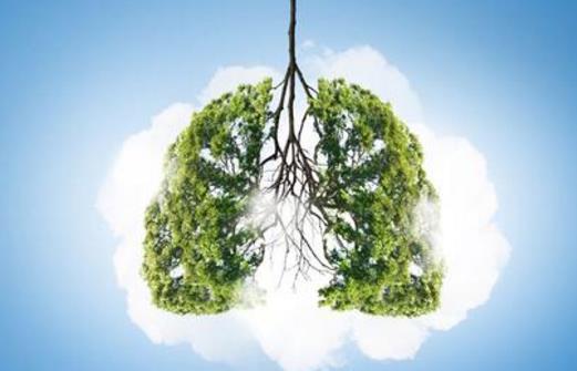 男人這些部位如何保健 8個保護區得重視