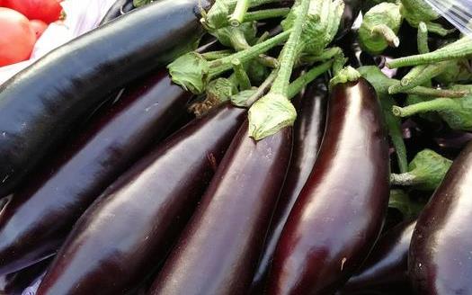 茄子不但營養好 其果實茄蒂和茄子根都可藥用