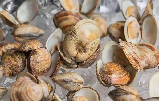 這六類食物吃多了易得腎結(jié)石!