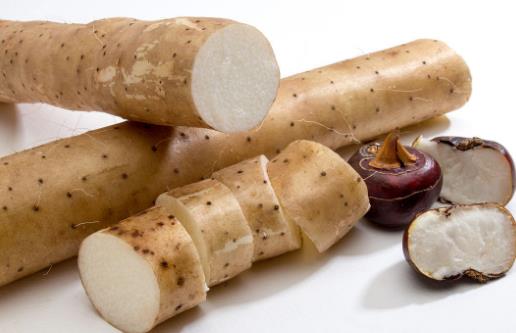 女性脾虛的癥狀和原因 定時(shí)起居早睡早起調(diào)節(jié)脾虛