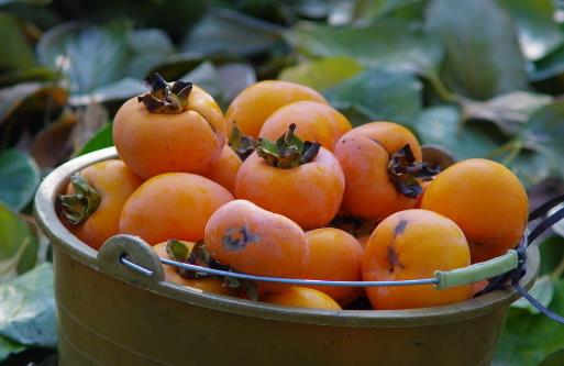 原來身體出現夜臥不寧說明肝火比較旺 降肝火的水果推薦