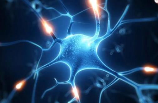 這些細節(jié)預(yù)示著癲癇癥可能要發(fā)作