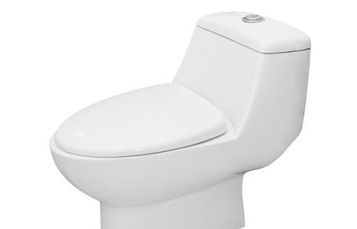 選購馬桶 直沖式馬桶和虹吸式馬桶誰更勝一籌