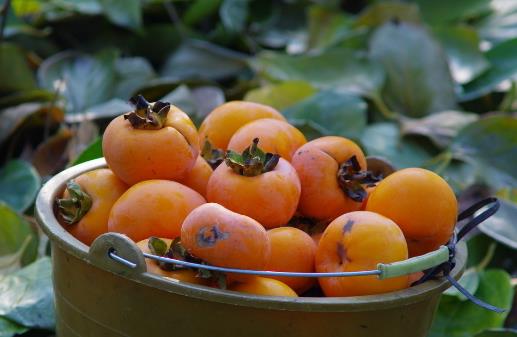 手指長度竟能決定女生每月痛與不痛