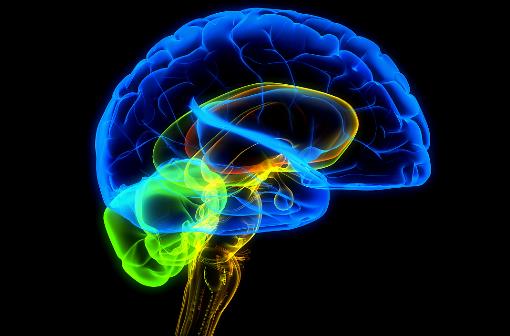 人各部位衰老竟是從這時候開始的