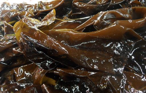 這些人群不宜食用海帶，一點都別沾最好