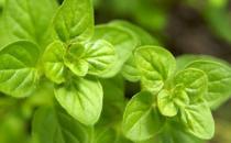 國外專業護理人員提供的生活妙招 解決生活小難題