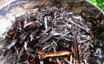 施草木灰對養(yǎng)花的好處 正確使用草木灰的竅門