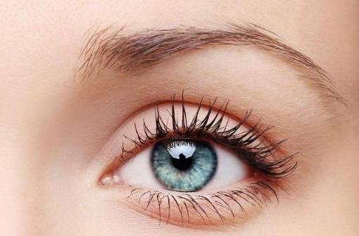 眼疲勞干澀 電腦族眼部保養有妙方