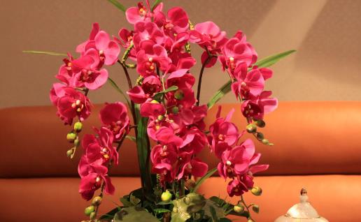 植物栽種之前給土壤進行消毒 家庭養花土壤消毒的方法