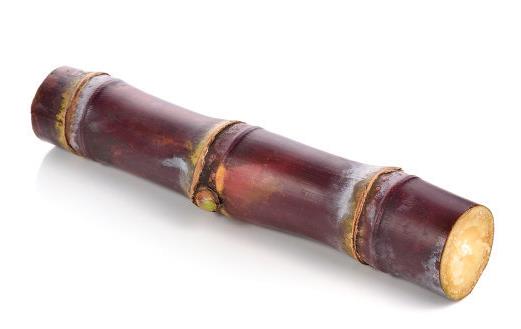 甘蔗的營養價值 甘蔗食療作用及不適宜食用人群