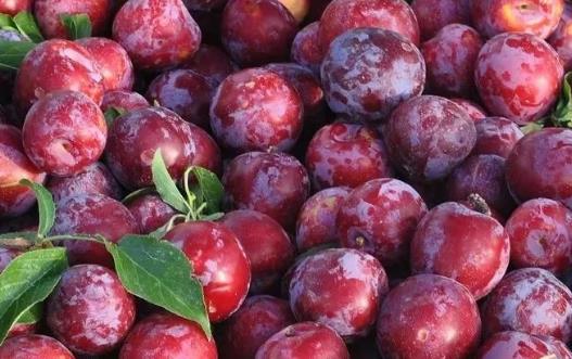 李子的營養(yǎng)價值 食用李子注意事項