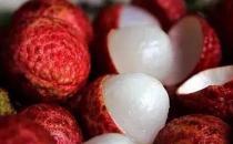 荔枝的營養價值與保健功能 挑選優質荔枝的方法