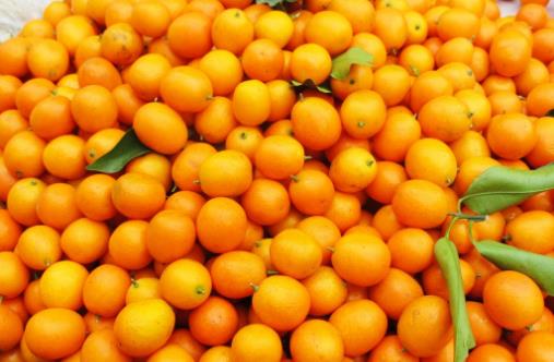 吃梨就能止咳?警惕越咳越厲害