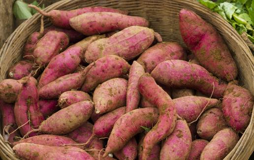 恢復免疫力超強的食物 增強免疫力必吃 　