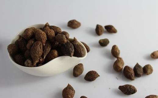 胖大海的來源和作用 幾類病癥不適喝胖大海